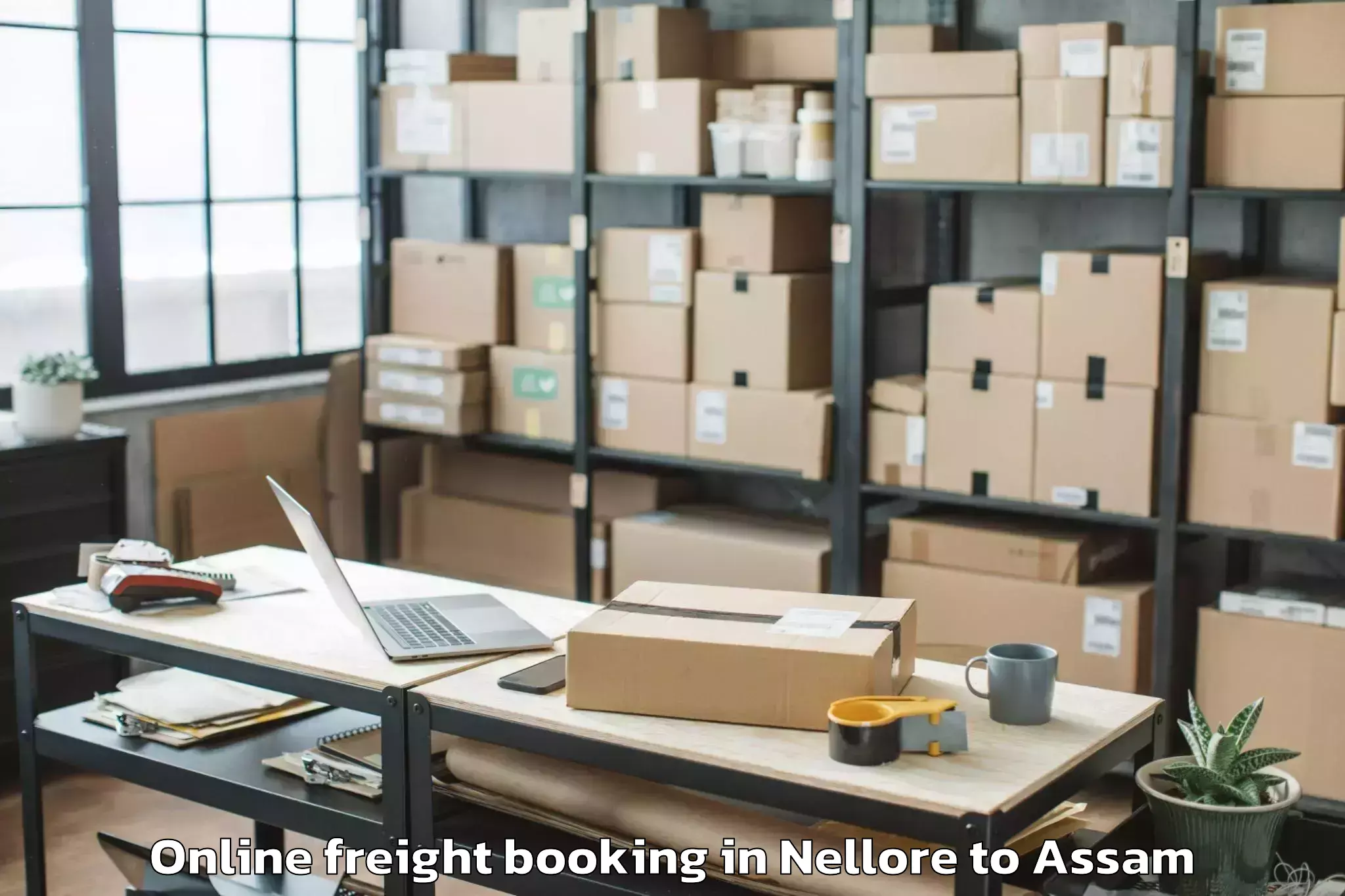 Nellore to Salonibari Airport Tez Online Freight Booking